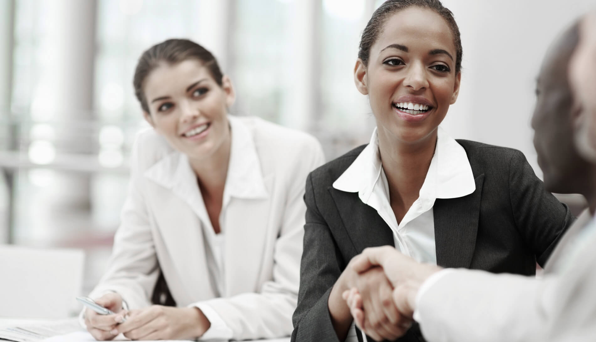 Professionals shaking hands